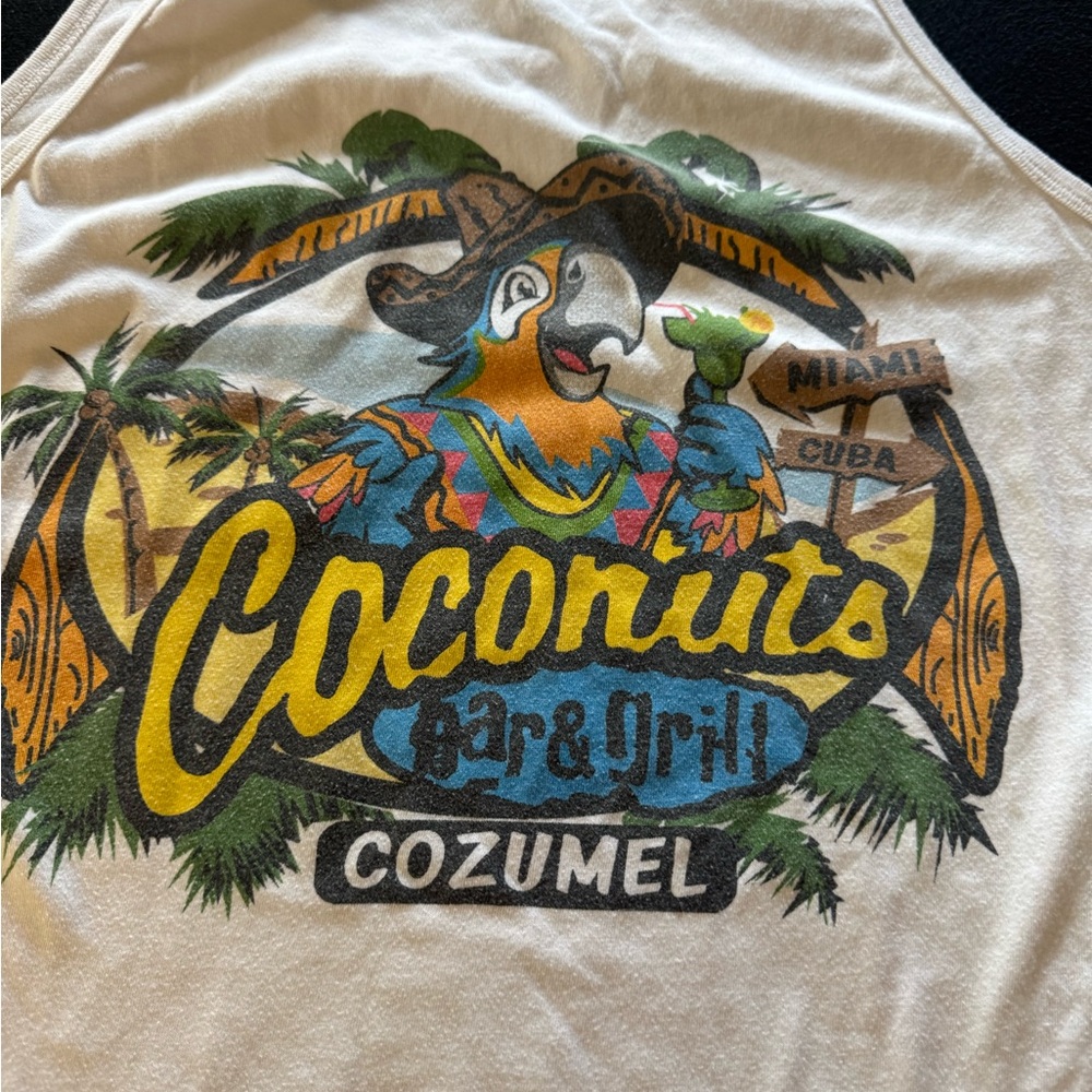 Coconuts by Matisse Gray Cozumel Tank Top